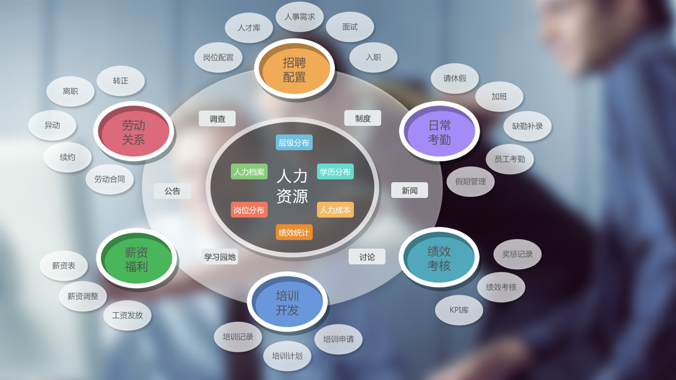 上海金蝶-人力資源 上海金蝶-人力資源