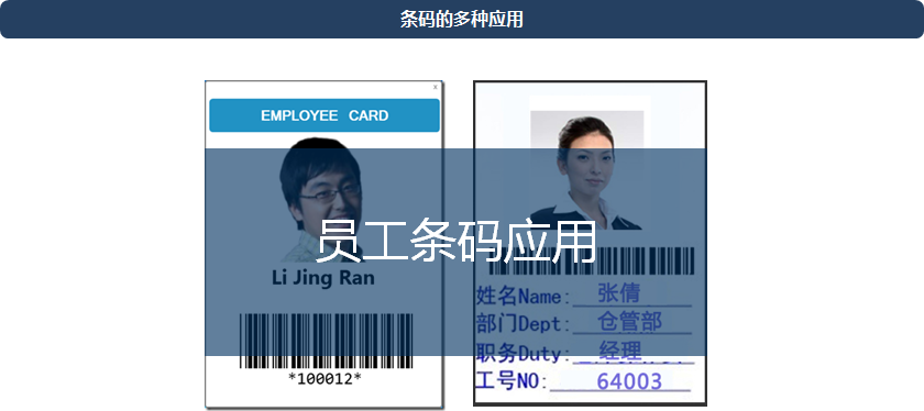 凯时k66(集团)有限公司